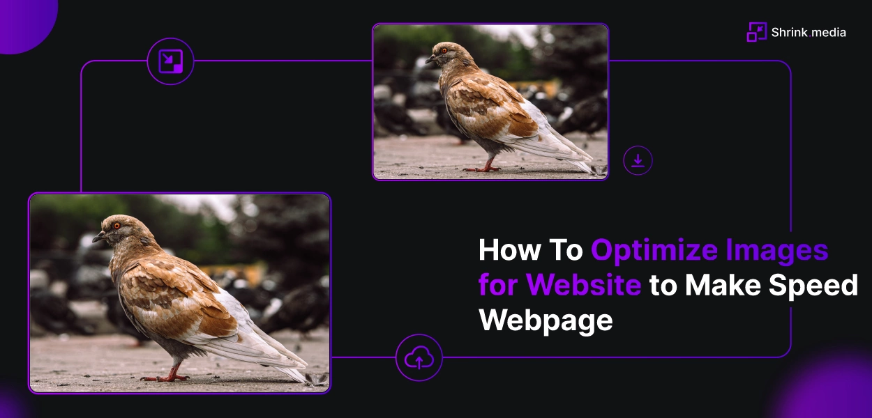Optimize Images For Website